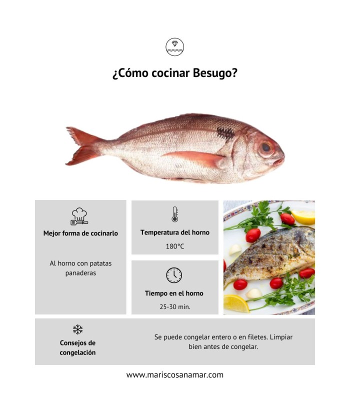 ¿Cómo cocinar besugo? ¿Cómo congelar besugo?
