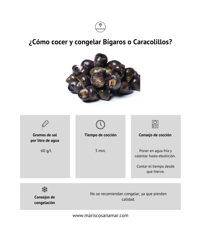 ¿Cómo cocer bígaros? ¿Cómo cocer caracolillos? Tiempos de cocción del marisco ¿Cómo congelar bígaros y caracolillos