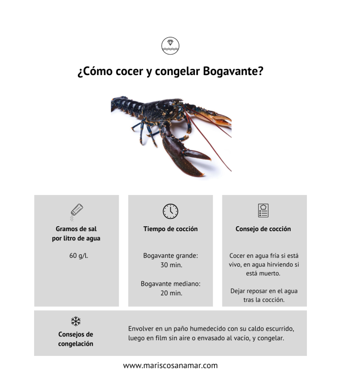 ¿Cómo cocer bogavante? Tiempo de cocción del marisco ¿Cómo congelar bogavante?