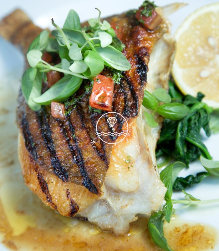 Comprar pescado online Gallo de San Pedro o San Martín