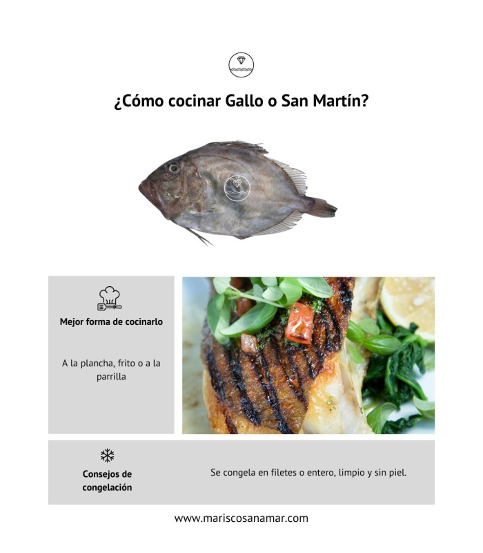 Gallo San Pedro al mejor precio y fresco | Envío en 24 horas