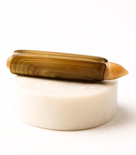 Navaja Gallega