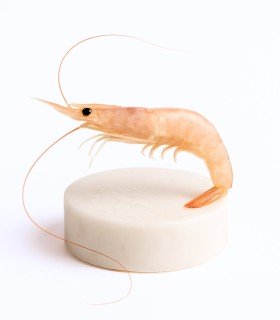 Comprar gamba blanca de Huelva especial