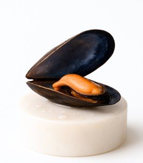 comprar mejillones