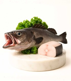 Comprar mero | Mariscos Anamar | Envío en 24 horas