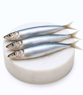 Comprar bocarte online