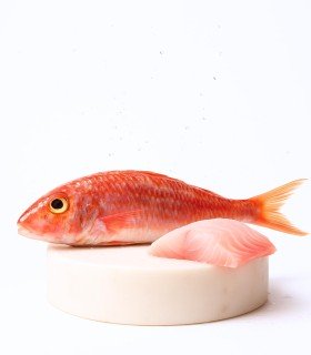 Comprar salmonete del Cantábrico online