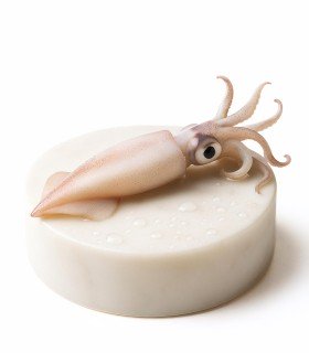 Comprar maganos online | Pescadería online