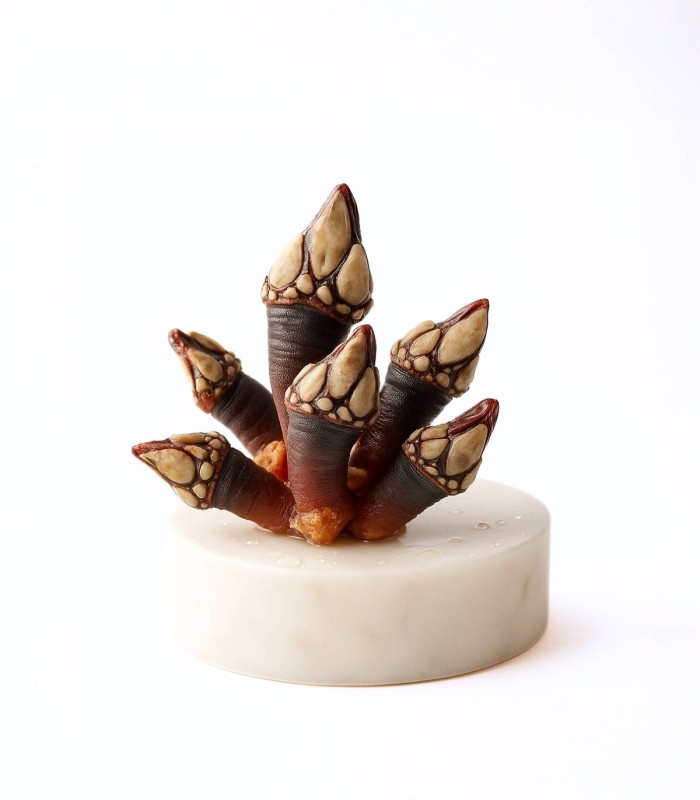 Comprar percebe gallego mediano | Mariscos gourmet online  | ¡Compra ya!