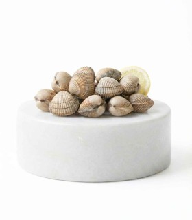 berberecho gordo gallego