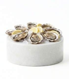 Comprar ostras de Arcade extra