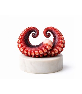 comprar Pata de pulpo gallego cocido