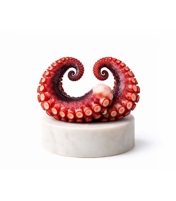 comprar Pata de pulpo gallego cocido