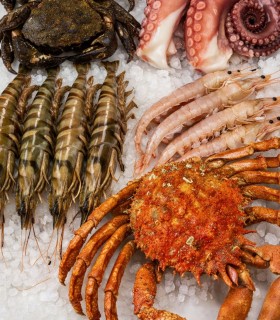 Mariscada momento de mar para celebraciones especiales