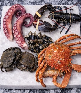 Mariscada en familia para celebrar en casa los momentos más especiales