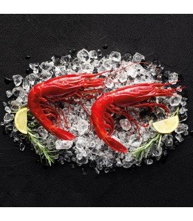 Carabinero fresco de Huelva