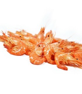 Quisquilla del Cantábrico