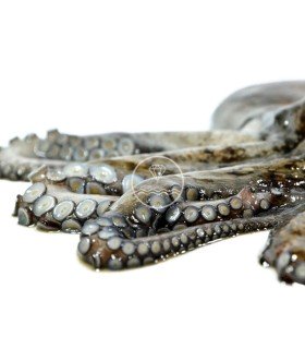 comprar Pata de pulpo gallego cocido