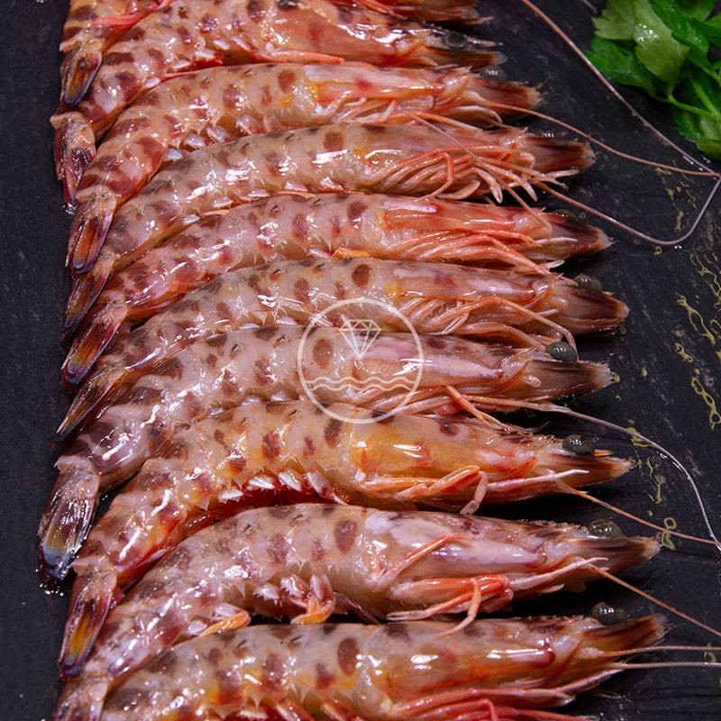 Langostino tigre de Huelva grande