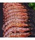 Comprar langostino tigre de Huelva grande