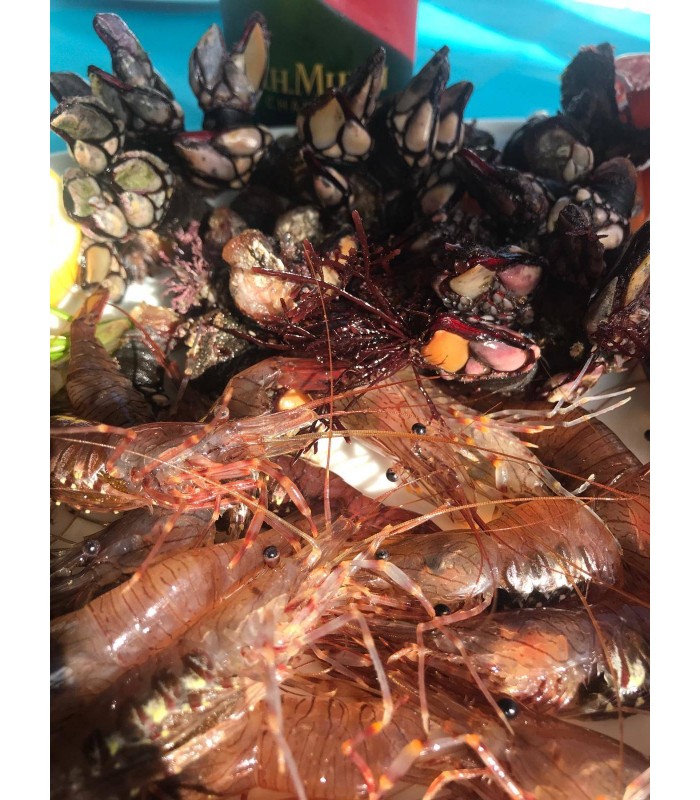 MARISCADA EL PUNTAL