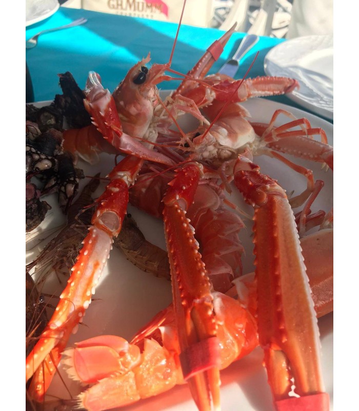 MARISCADA EL PUNTAL