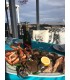 MARISCADA VALDEARENAS