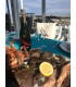 MARISCADA VALDEARENAS