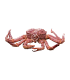 Comprar cangrejo real | Comprar marisco online
