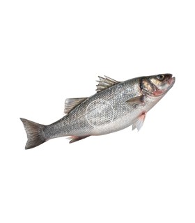 Comprar lubina online