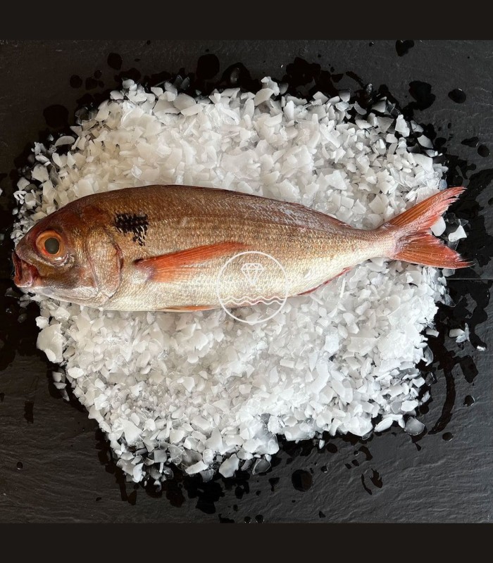 Comprar besugo online