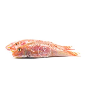 Comprar salmonete del Cantábrico online