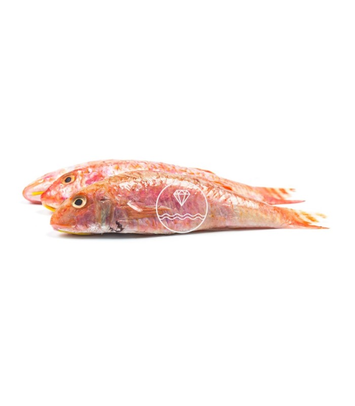Comprar salmonete del Cantábrico online