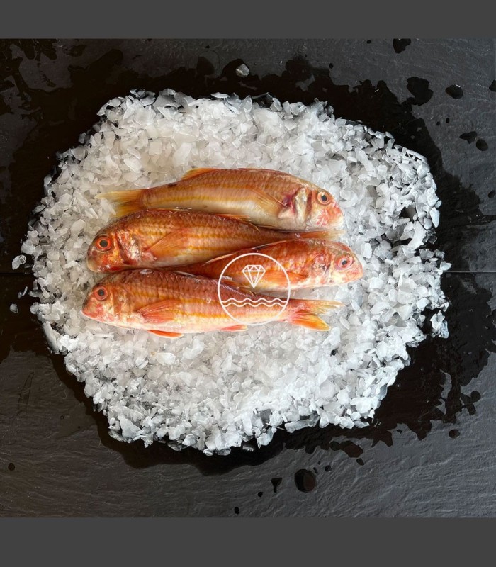 Comprar salmonete del Cantábrico online