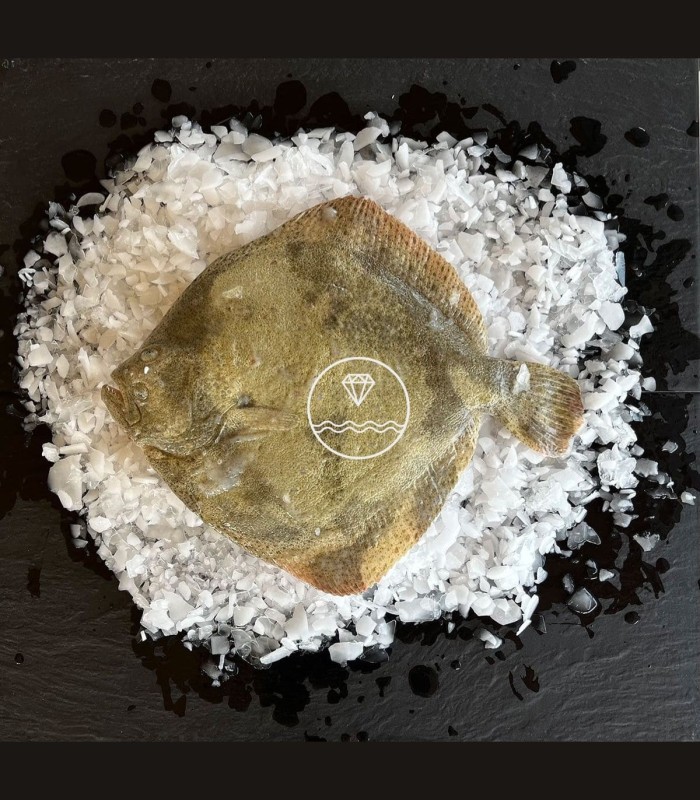 Comprar rodaballo salvaje | Mariscos Anamar | Envío en 24 horas