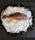 Comprar machote o pargo online
