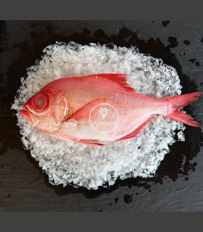 Comprar pescado rey online