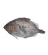 Comprar gallo san Martín o san Pedro online