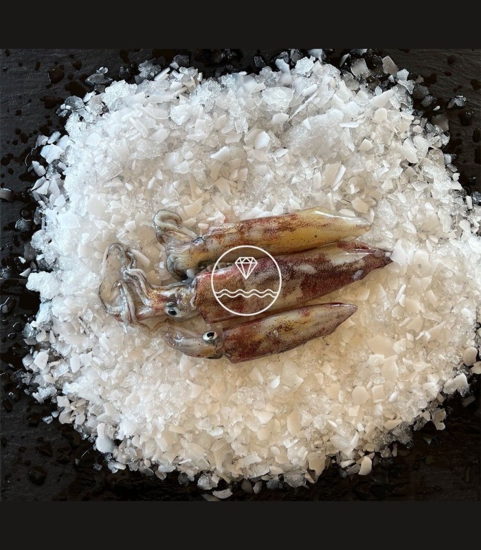 Comprar calamar online