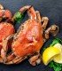 Comprar nécora viva del cantábrico | Pescadería online
