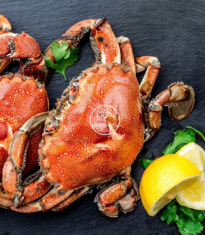 Comprar nécora viva del cantábrico | Pescadería online