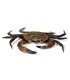 Comprar nécora viva del cantábrico | Pescadería online