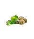 Comprar Almeja fina gallega grande