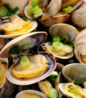Almeja fina gallega extra+