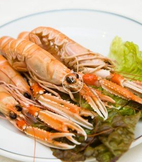 Cigala grande del Cantábrico