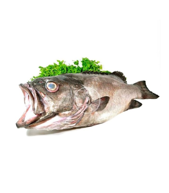 Comprar Mero | Comprar pescados online