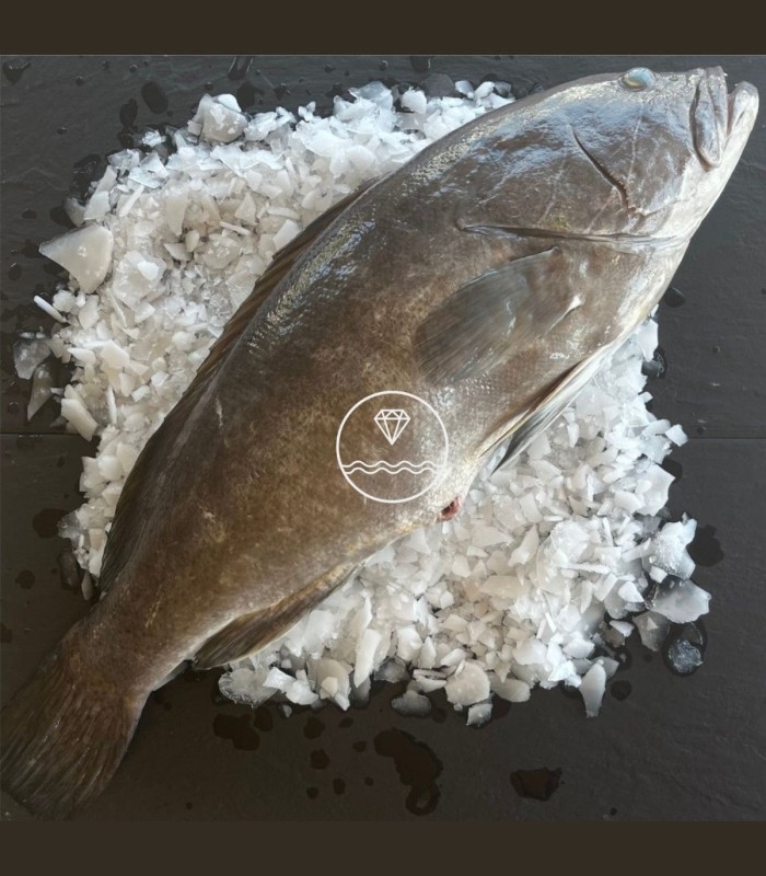 Comprar Mero | Comprar pescados online