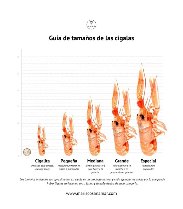 Comprar Cigalitas | Mariscos a domicilio | Envío en 24 horas