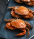 Comprar nécora del Cantábrico gorda | Mariscos Anamar | Envío en 24 horas