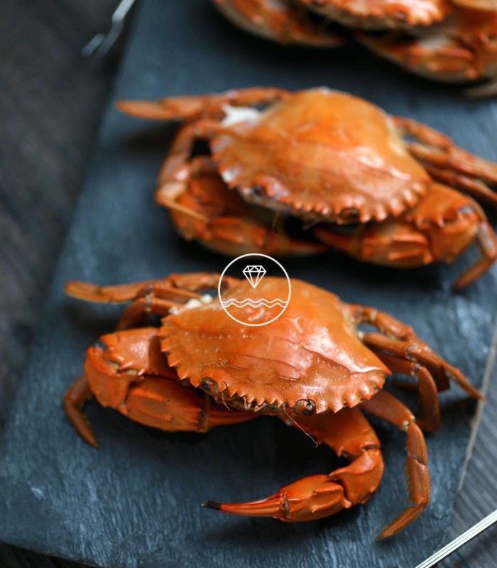 Comprar nécora del Cantábrico gorda | Mariscos Anamar | Envío en 24 horas